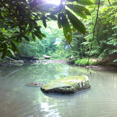 Clifty Wilderness